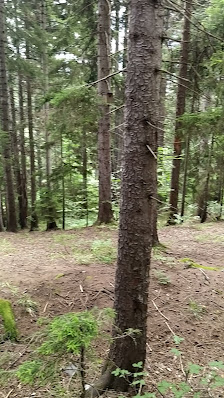 Artvin Kent Ormanı Videolar görseli