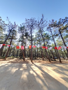 Ümraniye Millet Bahçesi Street View ve 360° görseli