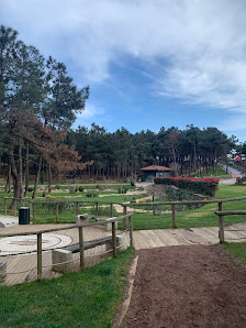Millet Parkı Tümü görseli