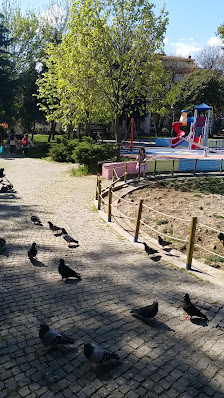 Bakırköy Belediyesi Millet Gezi Parkı Videolar görseli