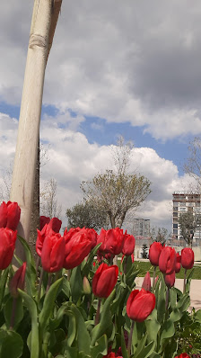 Başakşehir Millet Bahçesi En son görseli