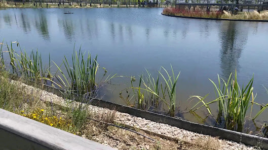 Başakşehir Millet Bahçesi Park görseli