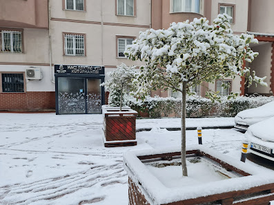 BAŞAKŞEHİR HACI BEKTAŞ VELİ KÜTÜPHANESİ Tümü görseli