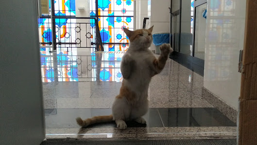 İstanbul Büyukşehir Belediyesi Ebu Bekir Kültür Merkezi Videolar görseli