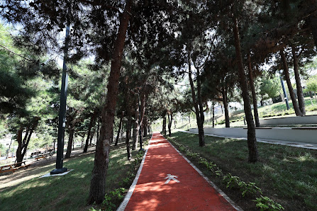 Bağcılar Millet Bahçesi Tümü görseli