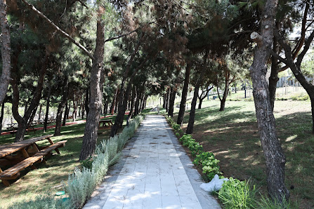 Bağcılar Millet Bahçesi Park görseli