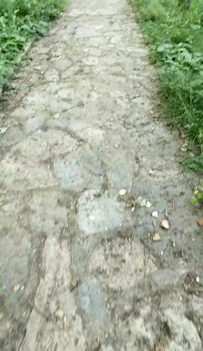 İBB Beykoz Korusu Videolar görseli