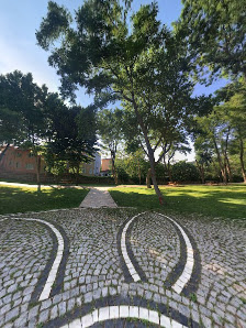 İBB Beykoz Korusu Street View ve 360° görseli