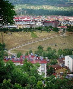 Bingöl Tümü görseli
