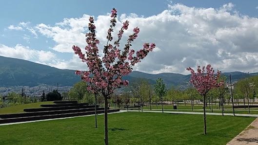 Bursa Gokdere Millet Bahcesi En son görseli